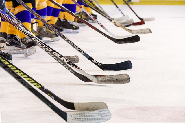 Navigating the NHL World: Partnership & Support