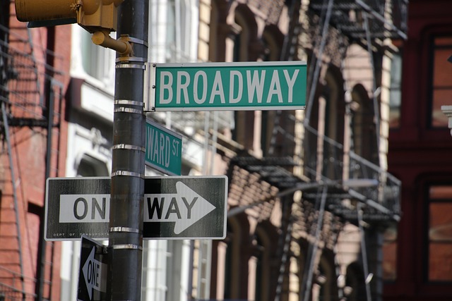 Broadway Acclaim and Stage Career