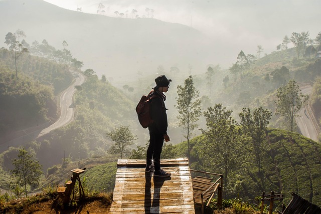 Explore Further