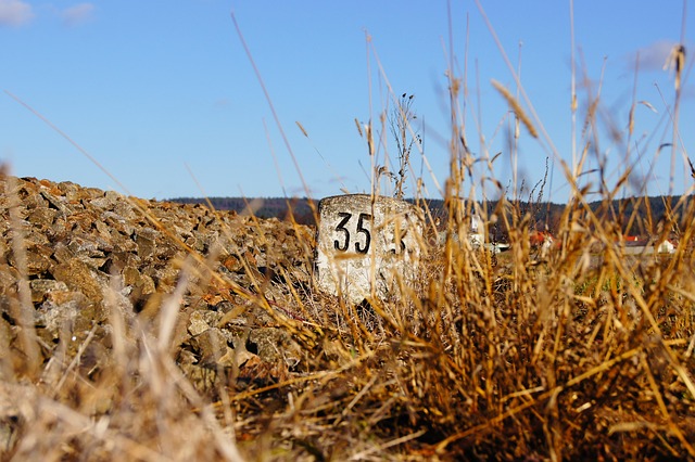 Significant Career Milestones