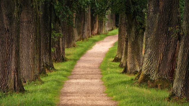 The Path to Induction