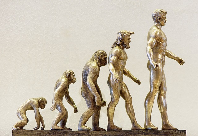 Training Evolution